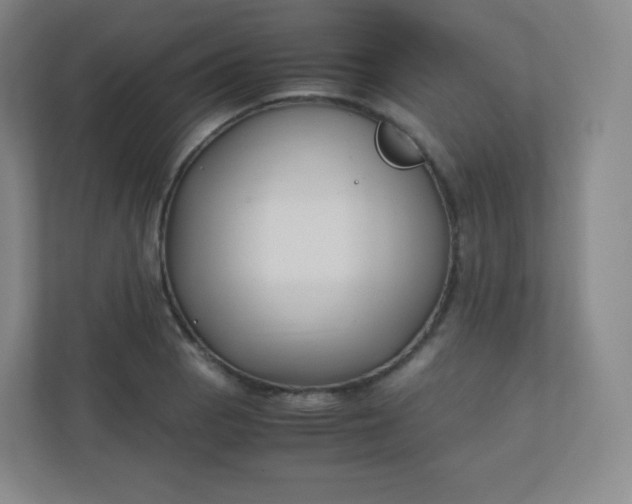 X0000110771129200906291043