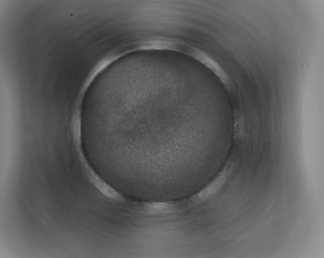 X0000110771130200906291043