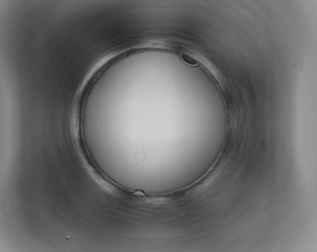 X0000110771131200906291043