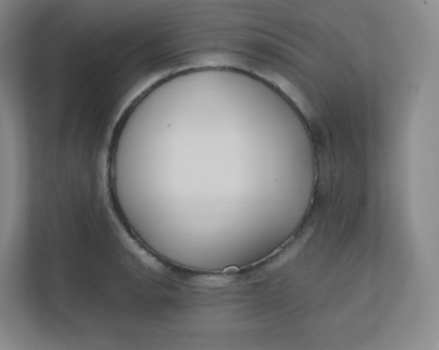 X0000110771134200906291043