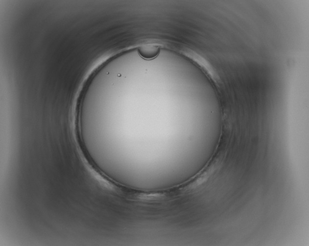 X0000110771135200906291043