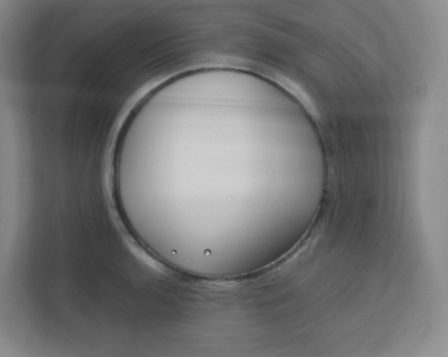 X0000110771136200906291043