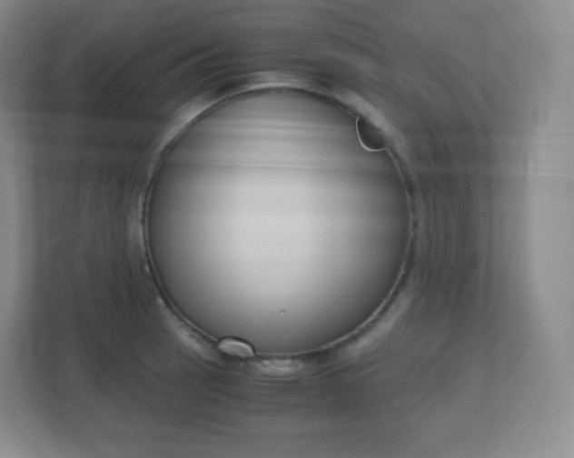 X0000110771137200906291043