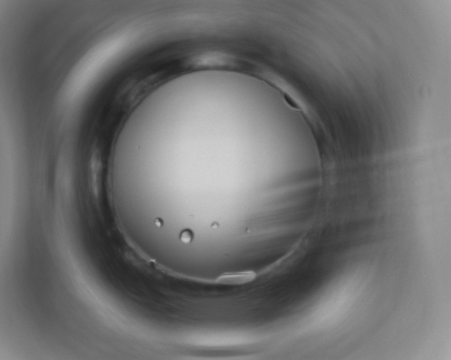 X0000110771151200906291043