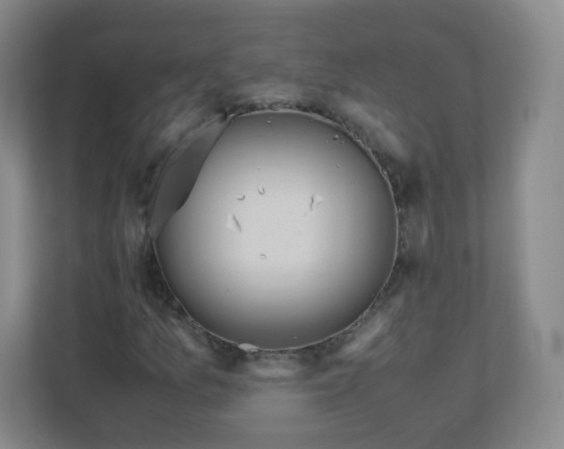 X0000110771157200906291042