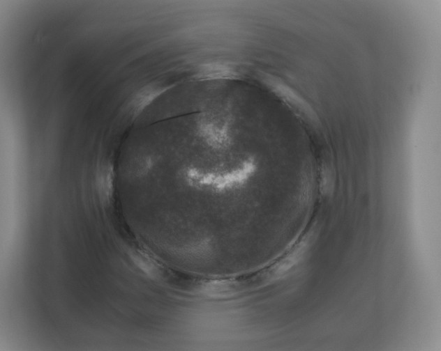 X0000110771161200906291042