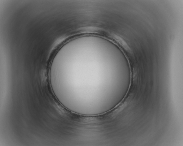 X0000110771164200906291042