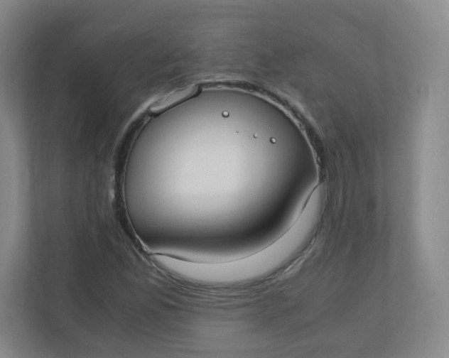 X0000110771165200906291042