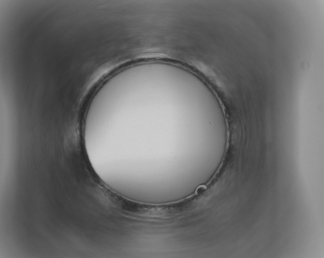 X0000110771167200906291042