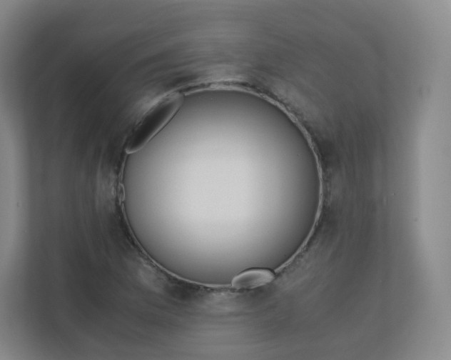 X0000110771169200906291042