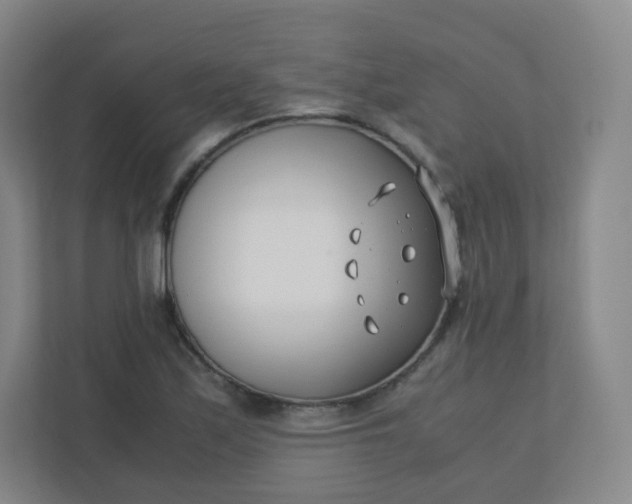 X0000110771171200906291042