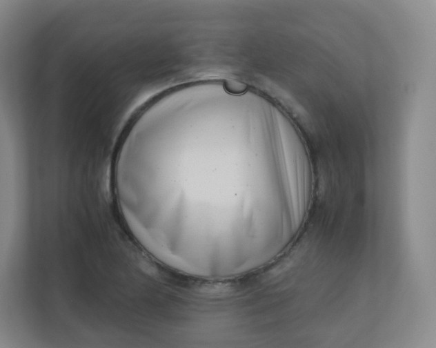 X0000110771174200906291042