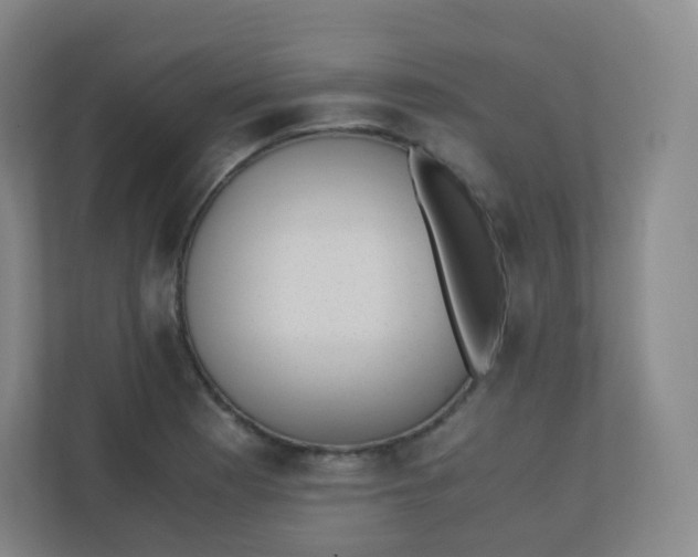 X0000110771177200906291042