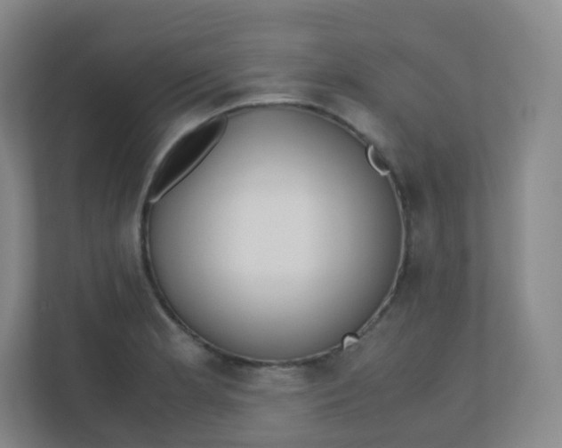 X0000110771181200906291042