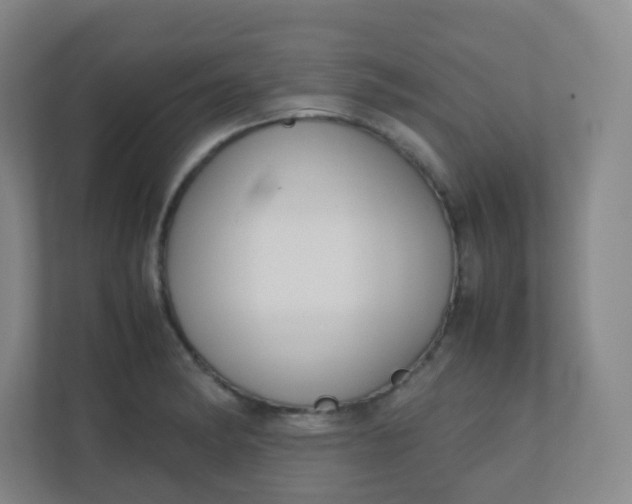 X0000110771182200906291042