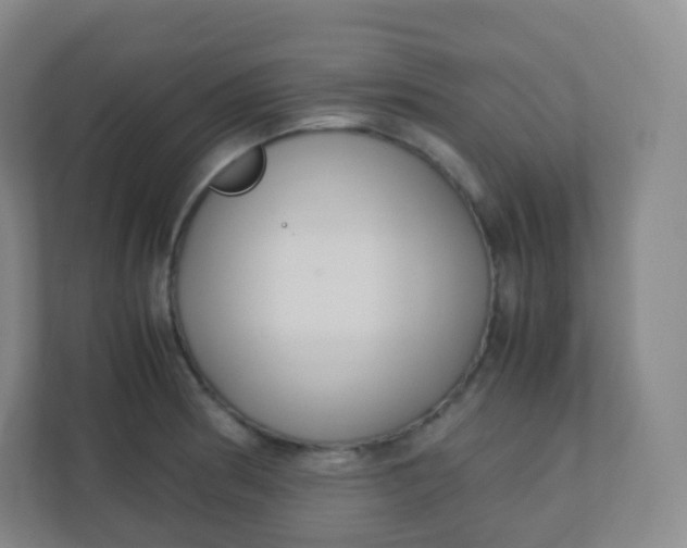 X0000110771186200906291042