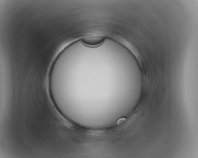 X0000110771187200906291042