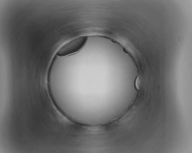 X0000110771189200906291042