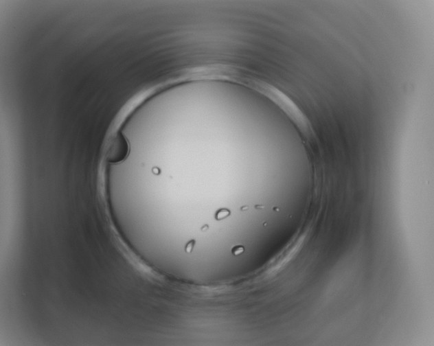 X0000110771196200906291042