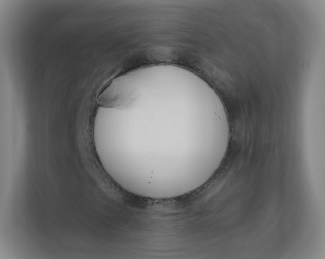 X0000110771201200906291041