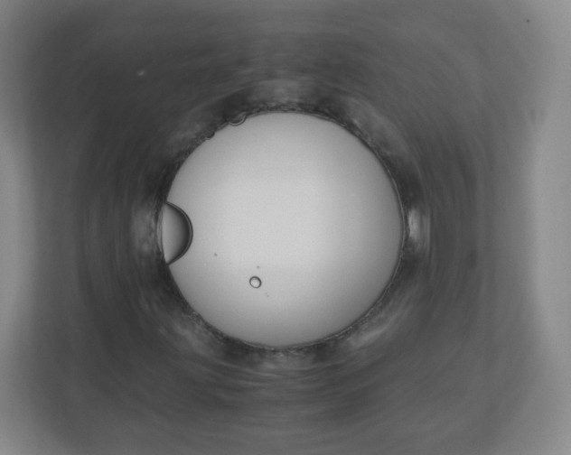 X0000110771203200906291041