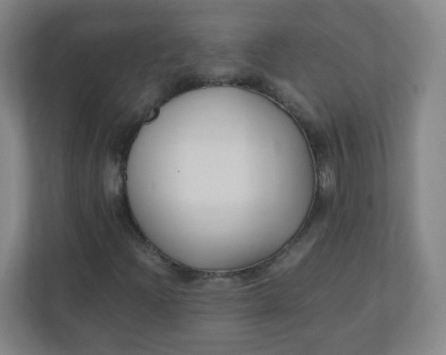 X0000110771204200906291041