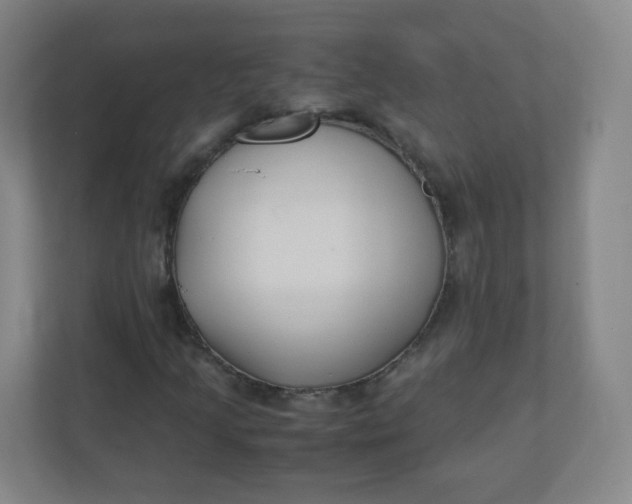 X0000110771205200906291041