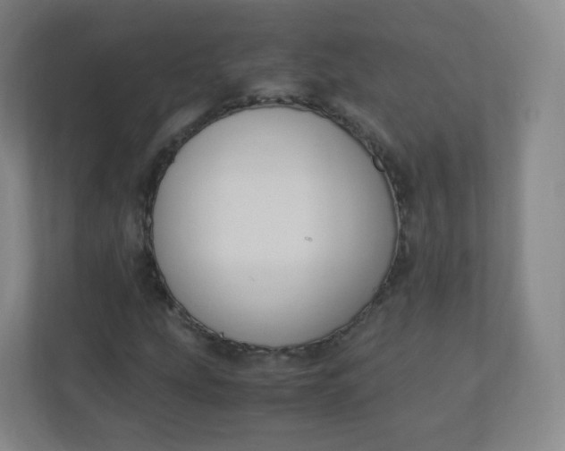 X0000110771207200906291041