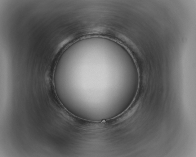 X0000110771210200906291041