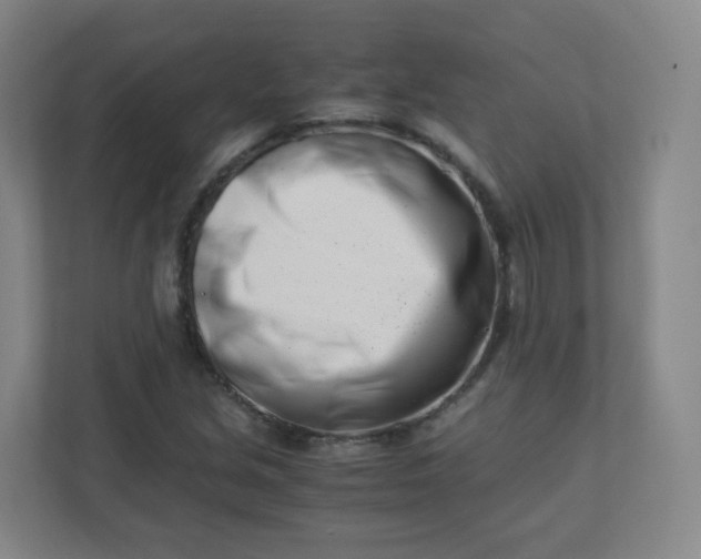 X0000110771213200906291041