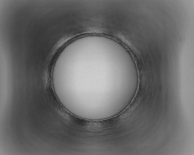 X0000110771215200906291041