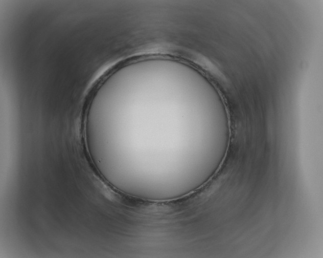 X0000110771216200906291041