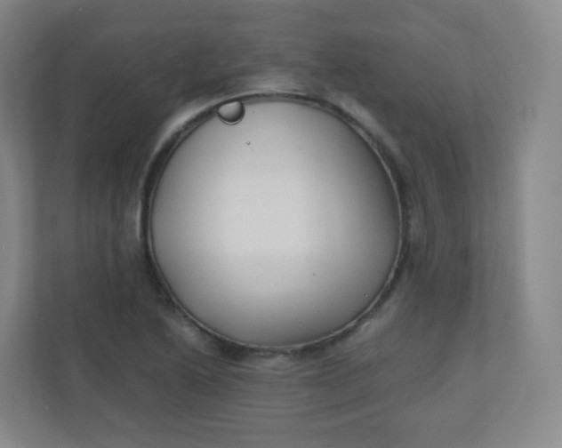 X0000110771222200906291041