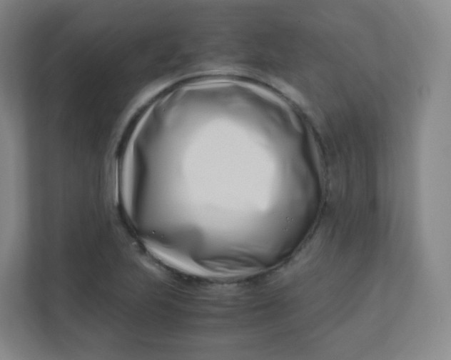 X0000110771223200906291041