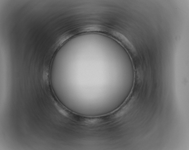 X0000110771225200906291041