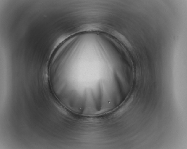 X0000110771226200906291041