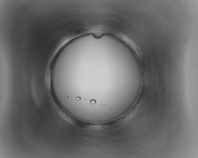 X0000110771227200906291041