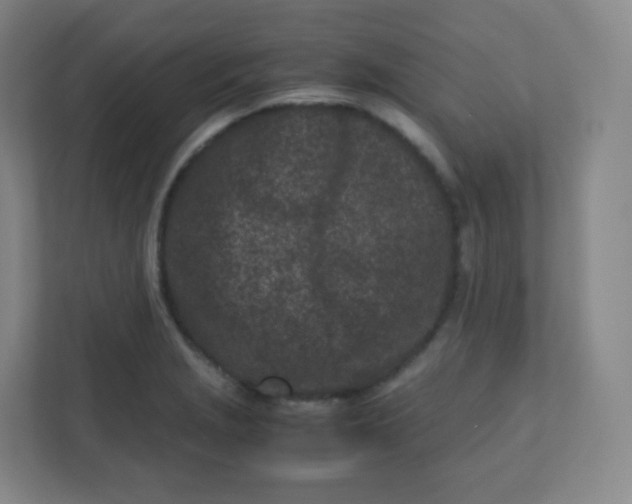 X0000110771229200906291041