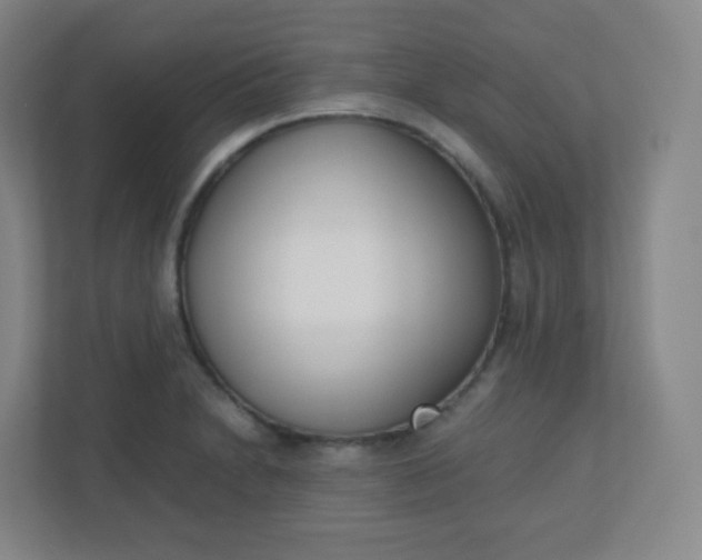 X0000110771230200906291041