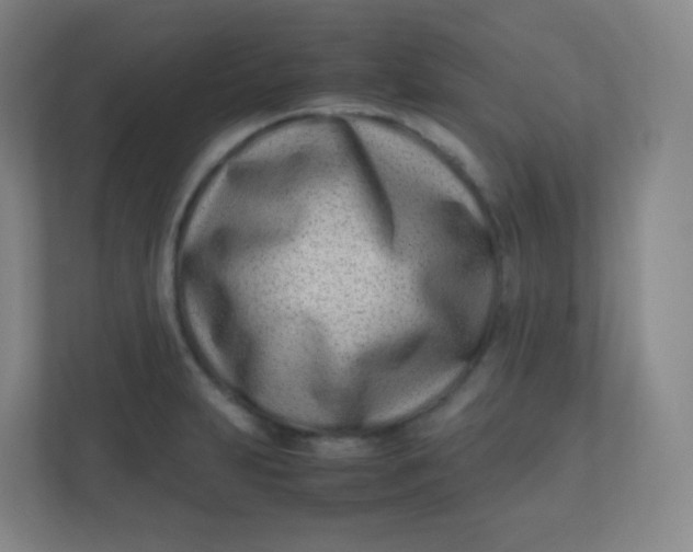 X0000110771231200906291041