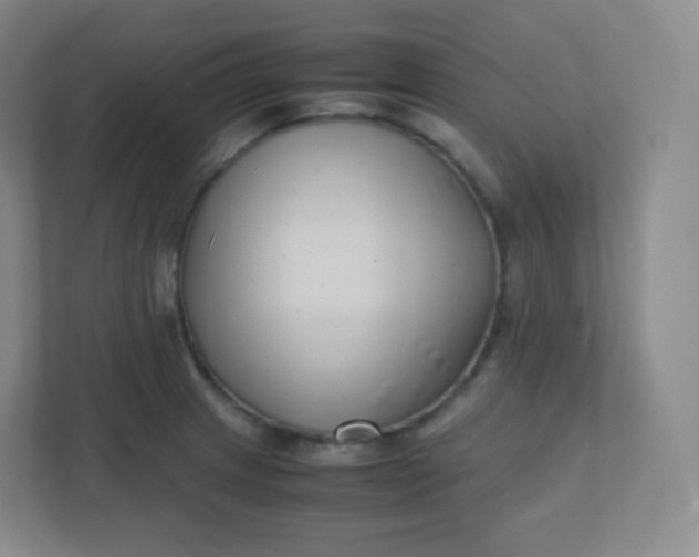 X0000110771233200906291041