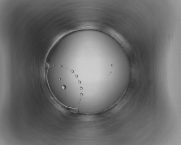 X0000110771236200906291041