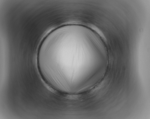 X0000110771237200906291041