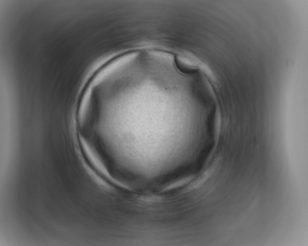 X0000110771239200906291042