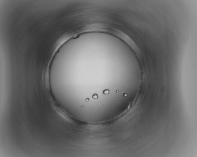 X0000110771242200906291042