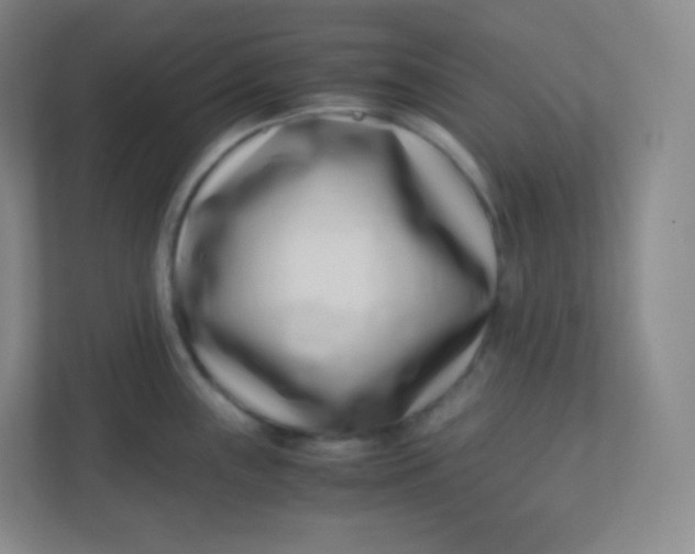 X0000110771243200906291042