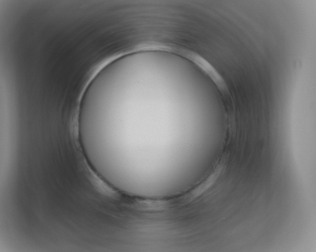 X0000110771244200906291042