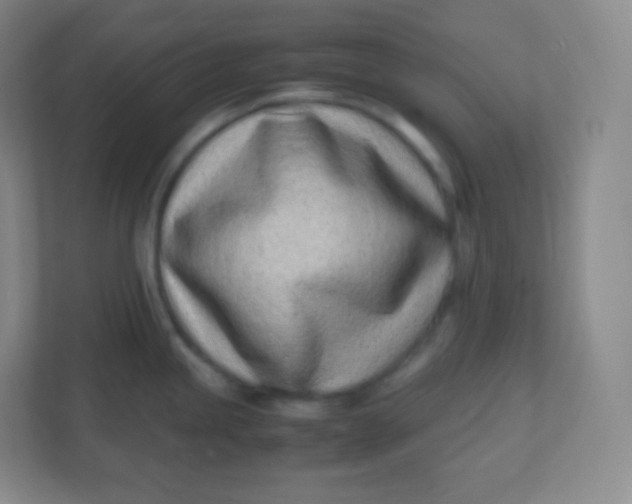 X0000110771245200906291042