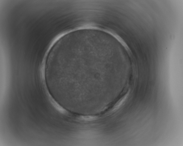 X0000110771246200906291042