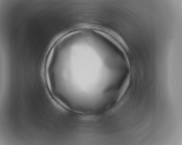 X0000110771247200906291042